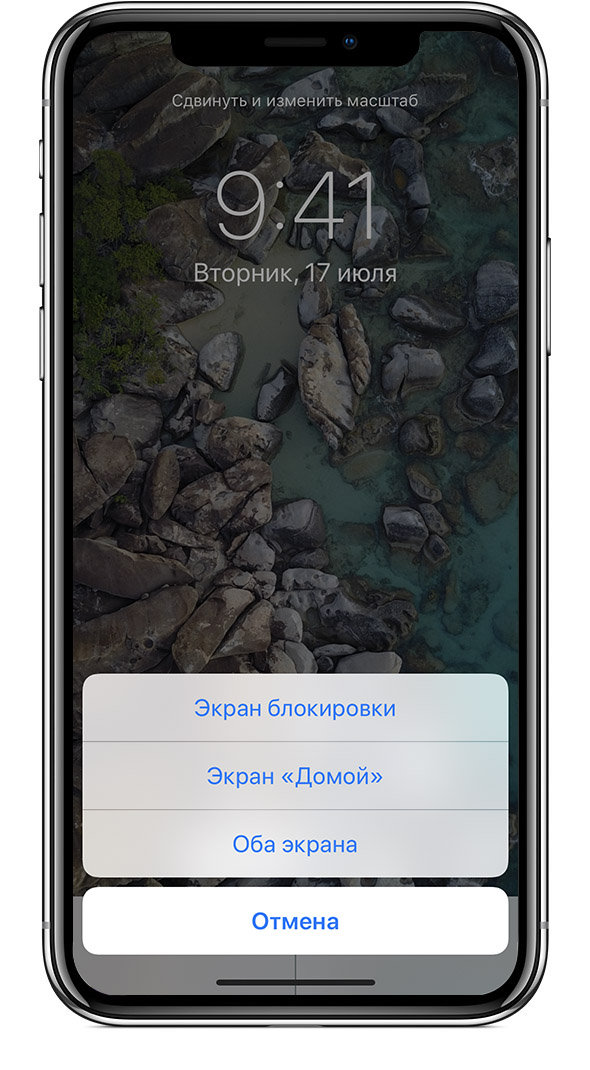 Обои экран домой iphone 11