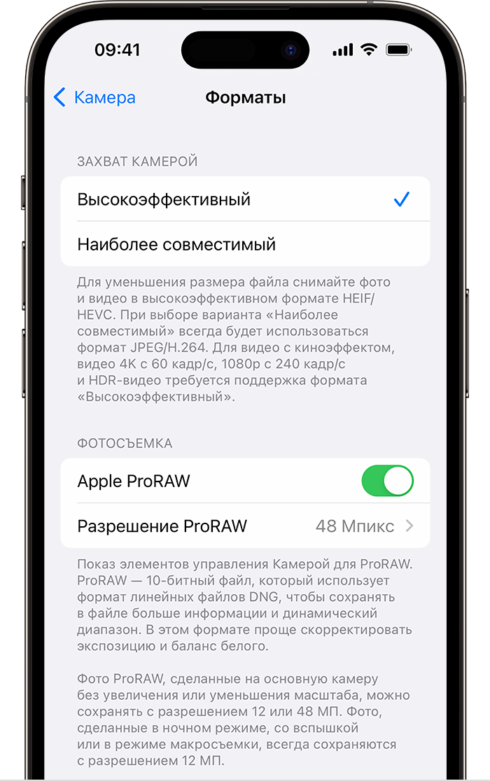 На различных моделях iPhone 14 Pro в приложении «Настройки» предусмотрено два варианта разрешения изображений в формате ProRAW.