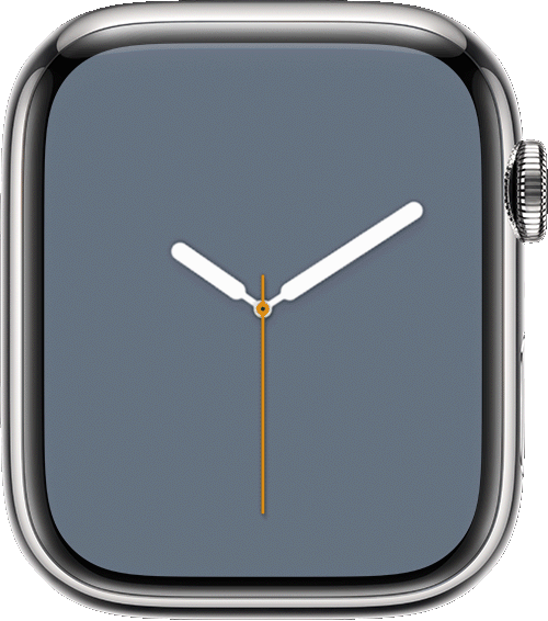 Používanie ovládacieho centra na hodinkách Apple Watch - Apple Support (SK)