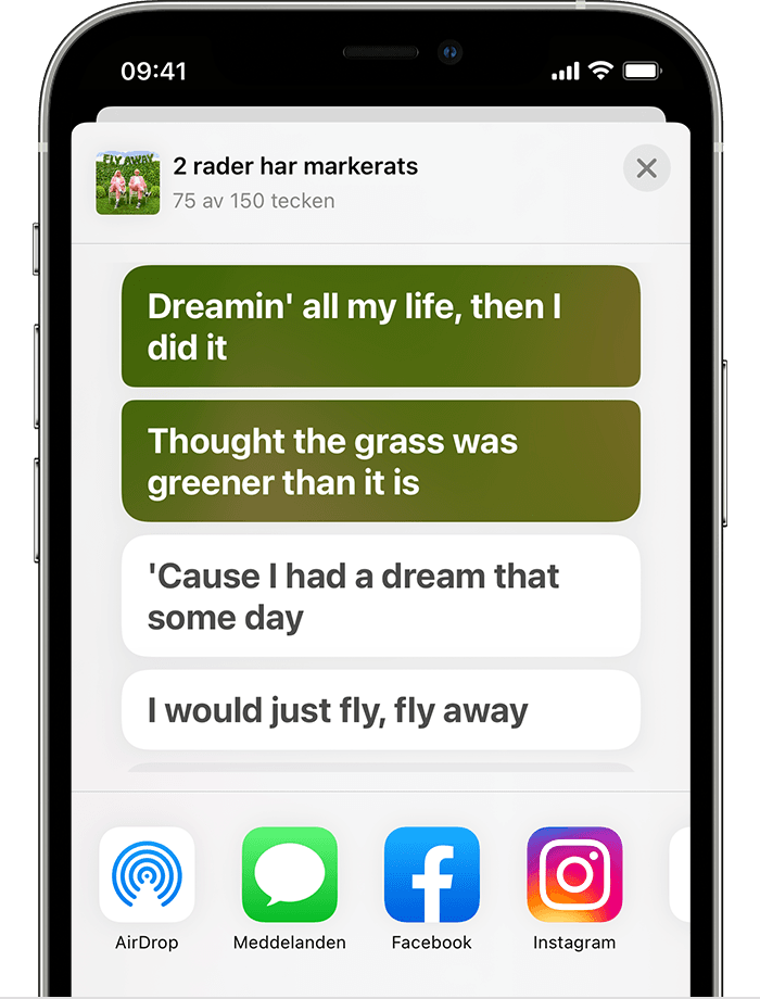 iPhone som visar delningsbladet med två utvalda rader från en låt. 