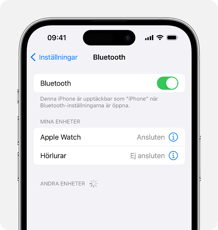Parkoppla ett Bluetooth-tillbehör från tredje part med din iPhone eller  iPad - Apple-support (SE)