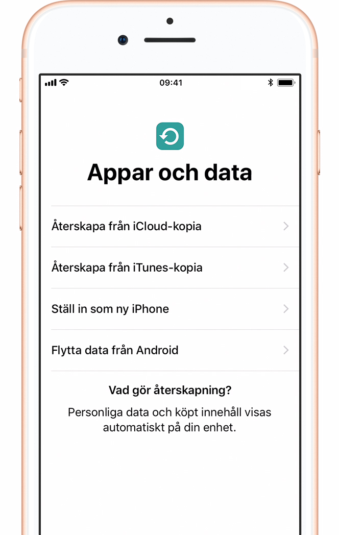 Lösenkod icloud