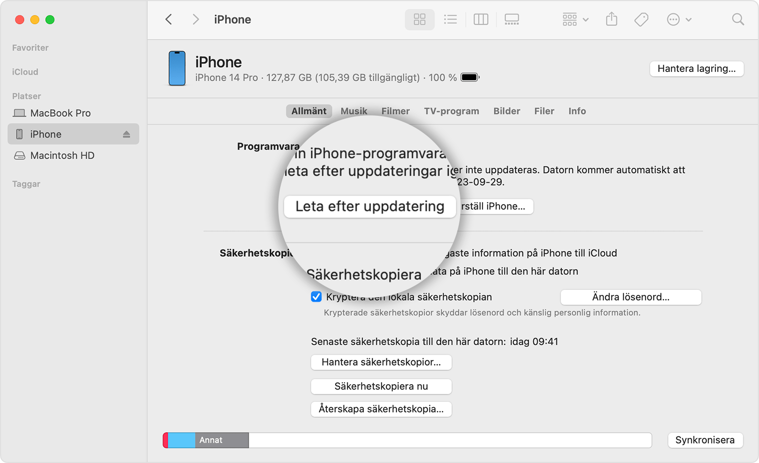 En Mac-skärm som visar hur det går till att använda Finder till att kontrollera lagringen på en iOS-enhet