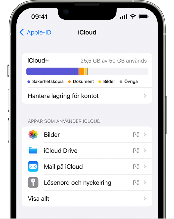 Välj vilka appar som ska användas med iCloud på din iPhone