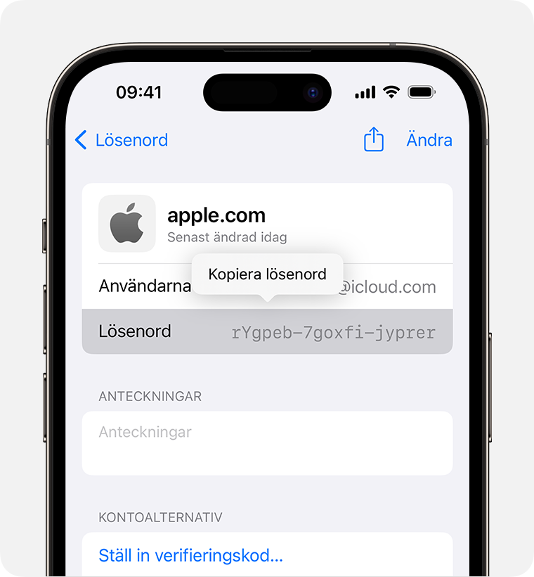 Hitta sparade lösenord och nycklar på din iPhone - Apple-support (SE)