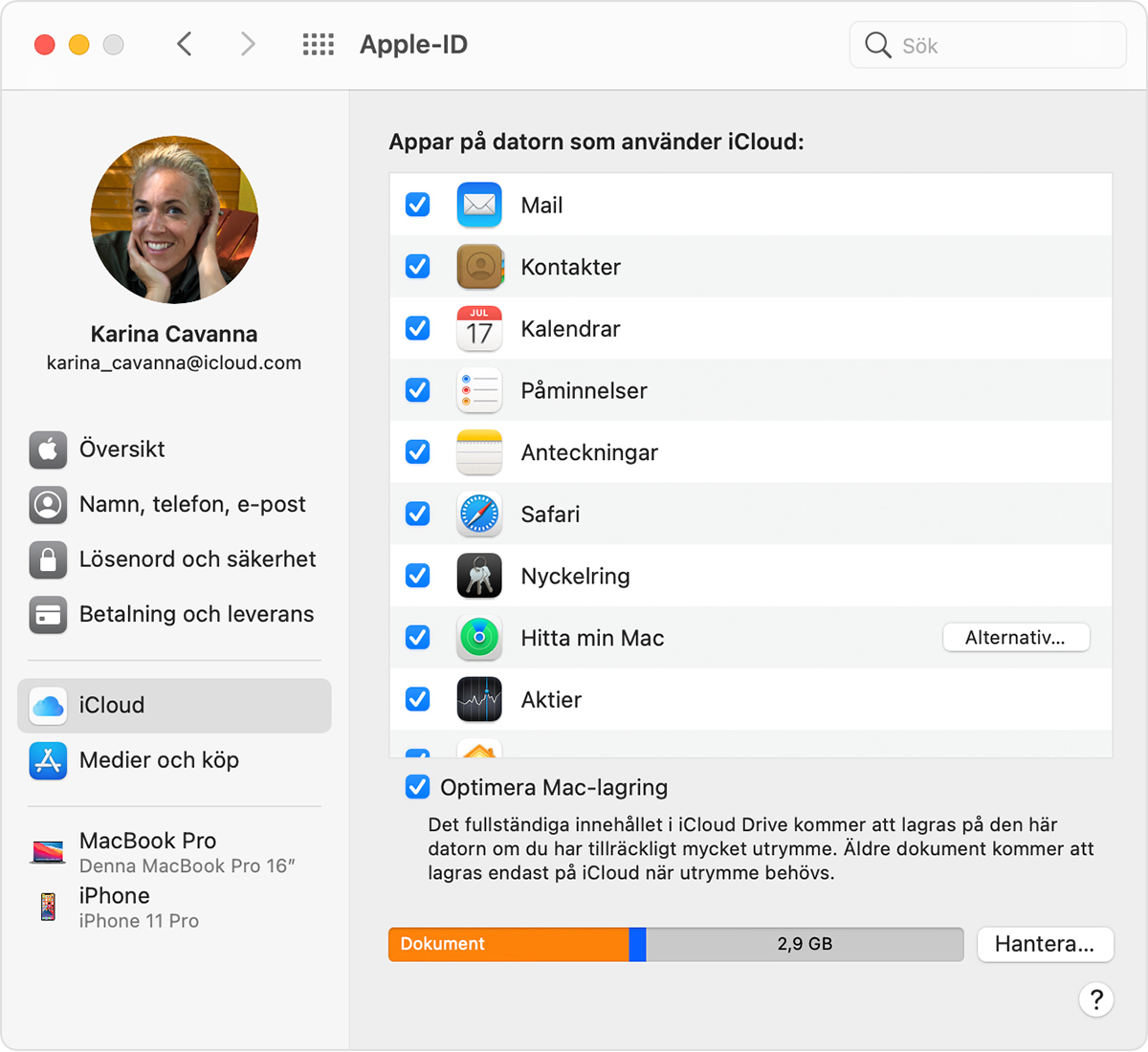 Ställa in iCloud-nyckelring - Apple-support (SE)