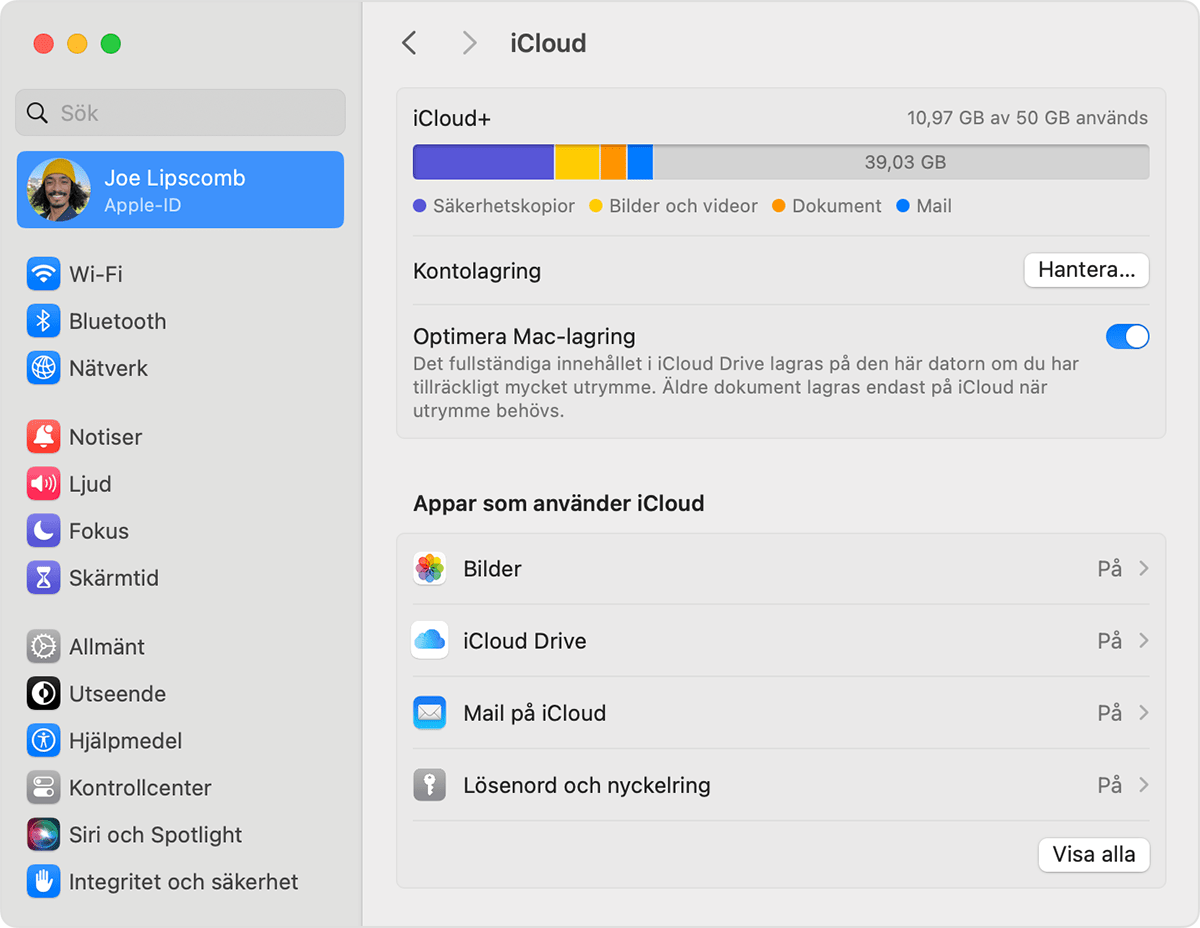 Ställa in iCloud-nyckelring - Apple-support (SE)