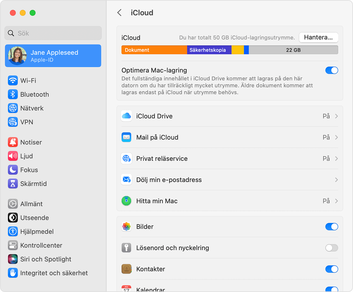 Välj vilka appar du vill använda med iCloud på din Mac