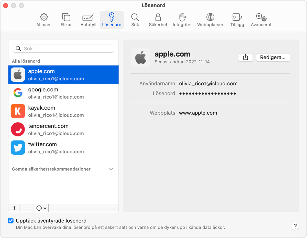 Så här hittar du sparade lösenord och nycklar på din Mac - Apple-support  (SE)
