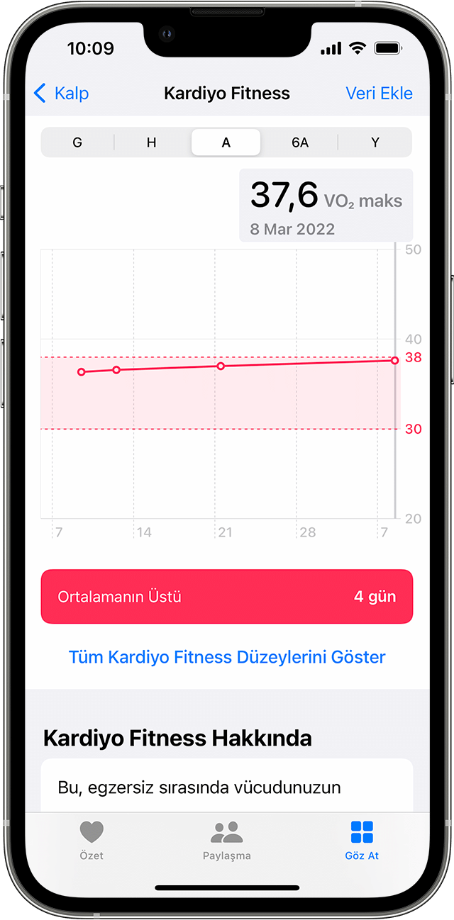 Aylık Kardiyo Fitness verilerinin örnek grafiğini gösteren bir iPhone.