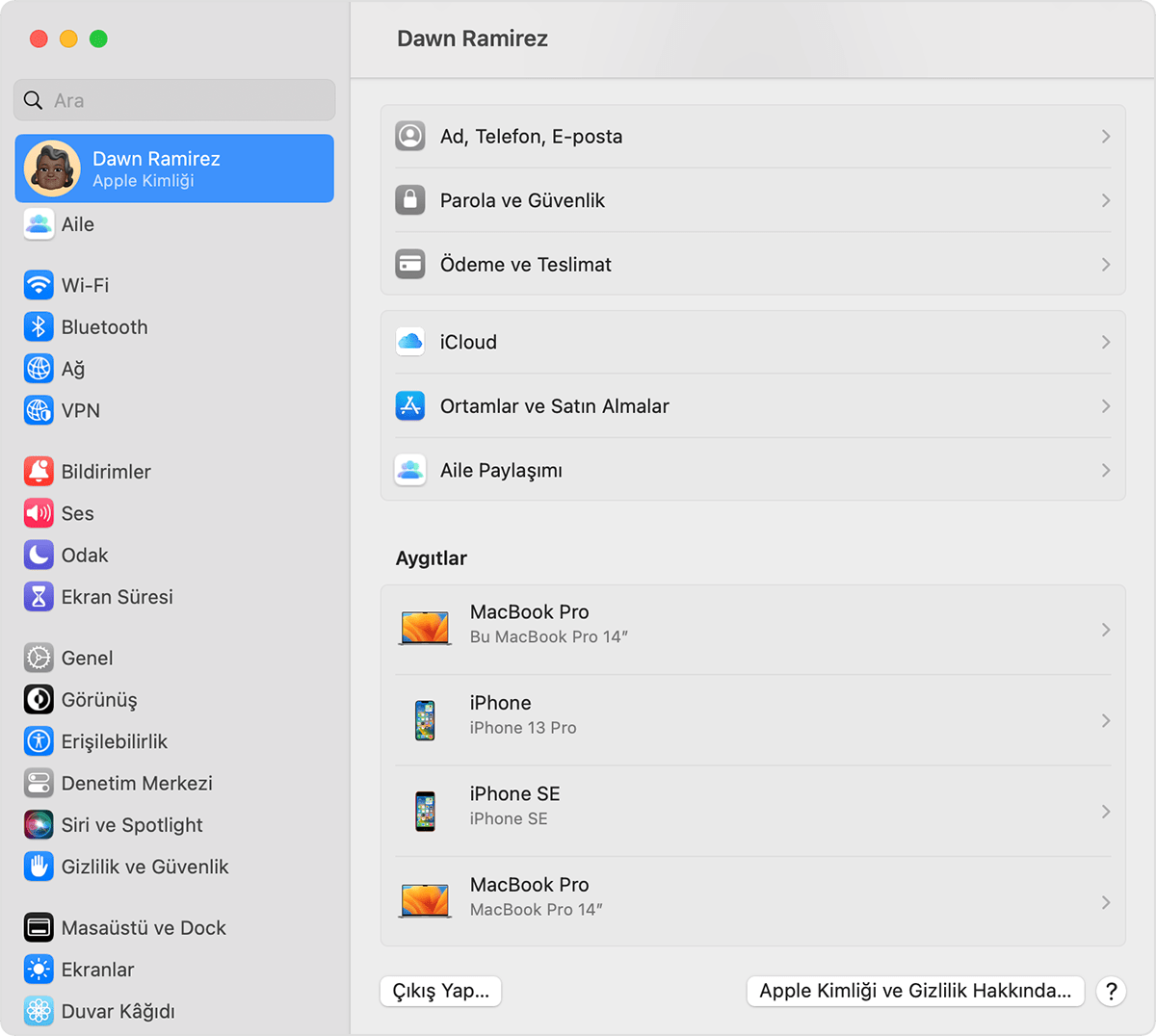Apple Kimliği aygıt listenizi kontrol ederek hangi aygıtlarda giriş  yaptığınızı öğrenme - Apple Destek (TR)