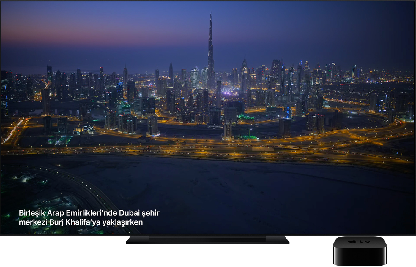 Apple TV'de Güney Afrika kürklü foklarını gösteren havadan çekilmiş ekran koruyucu. 
