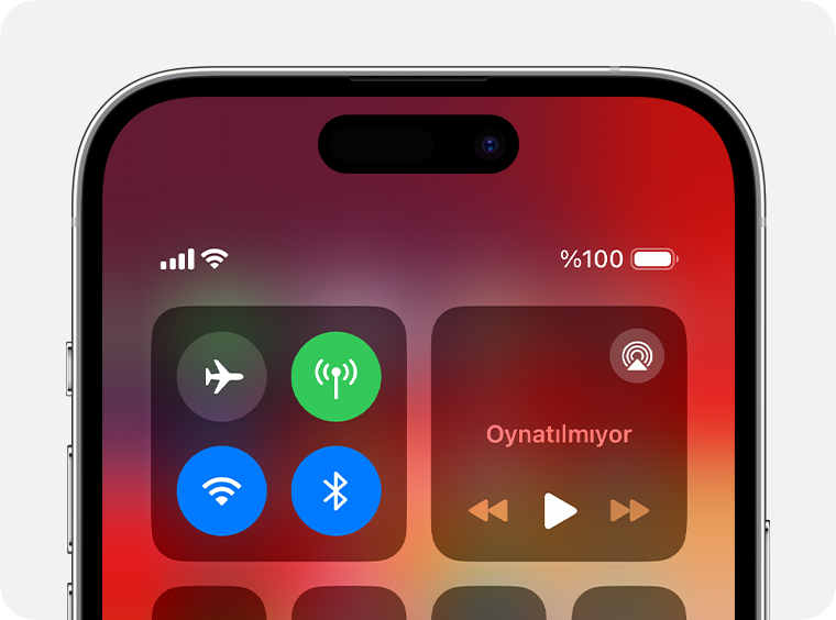 Apple Watch'unuz iPhone'unuza bağlanamıyor veya iPhone'unuzla eşlenemiyorsa  - Apple Destek (TR)