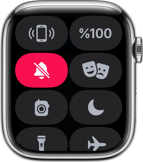 Denetim Merkezi'nde Sesi Kapat düğmesini gösteren Apple Watch