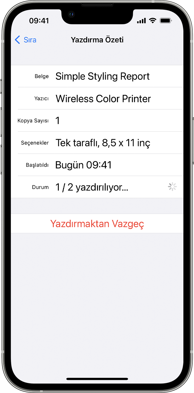 iPhone veya iPad'inizden yazdırma işlemi yapmak için AirPrint'i kullanma -  Apple Destek (TR)