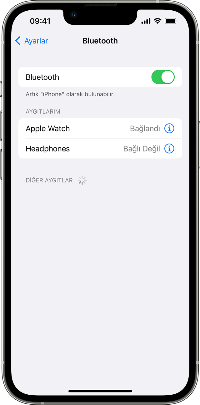 Üçüncü taraf bir Bluetooth aksesuarını iPhone veya iPad'inizle eşleme -  Apple Destek (TR)