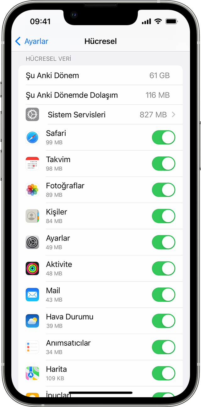 iPhone veya iPad'inizde hücresel veri kullanma - Apple Destek (TR)