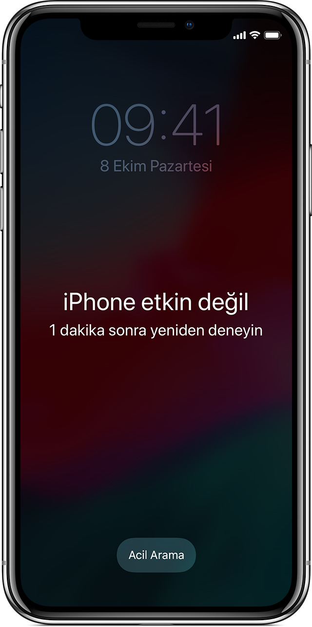 iPhone etkisizleştirildi ekranı