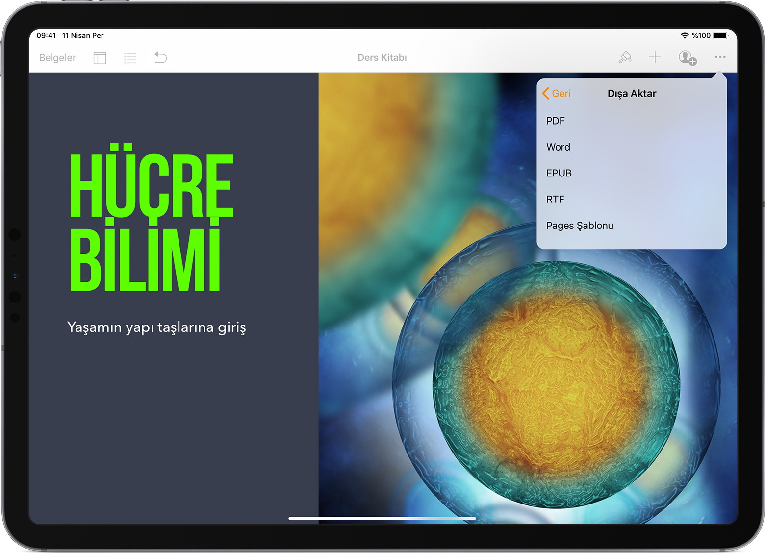 Pages belgelerini PDF ve Microsoft Word gibi dosya türlerine dönüştürme