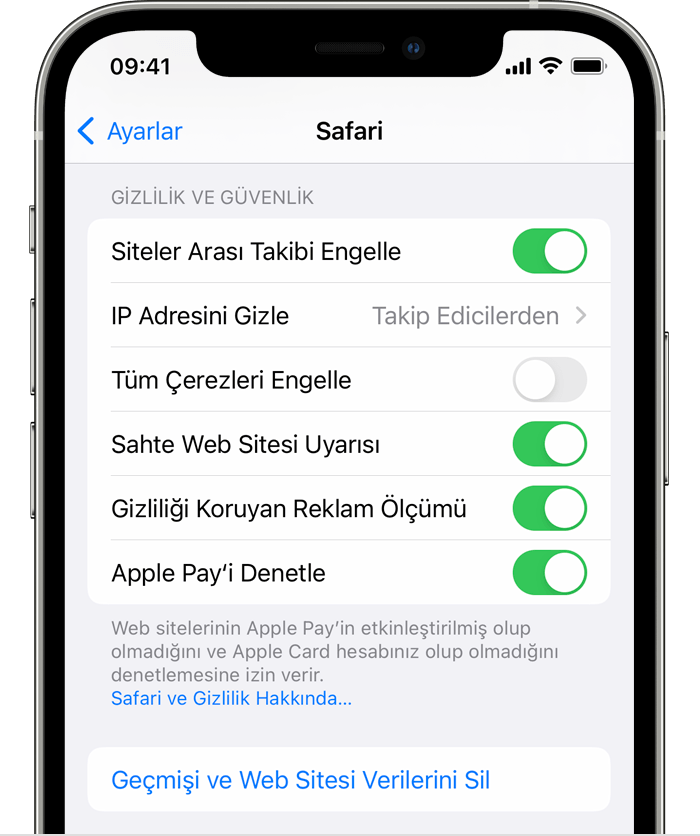 Geçmişi ve web sitesi verilerini silmeyi gösteren iPhone Safari Ayarları.