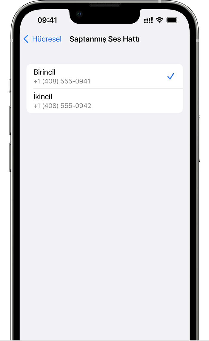 eSIM'le Çift SIM özelliğini kullanma - Apple Destek (TR)