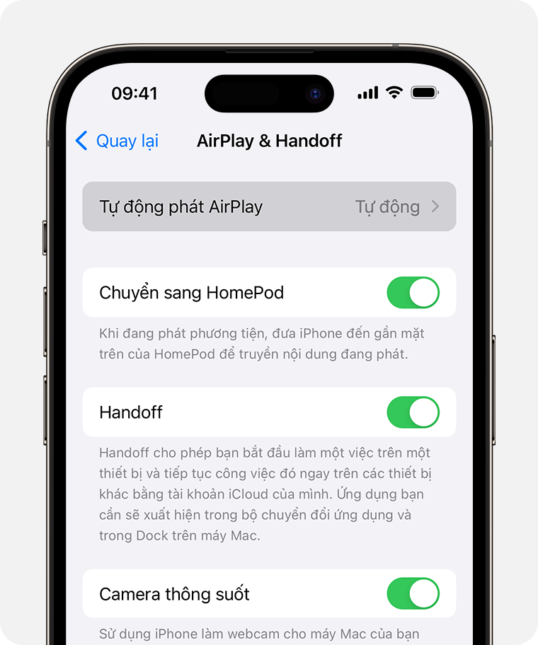 Tùy chọn Tự động được chọn cho mục Tự động phát AirPlay trên màn hình AirPlay & Handoff trên iPhone