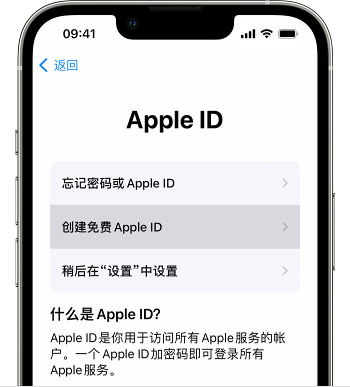 在设置新 iPhone 时创建 Apple ID