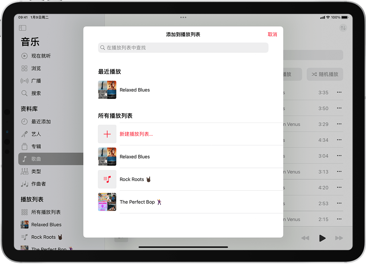 iPad 屏幕，显示了“歌曲”播放列表。