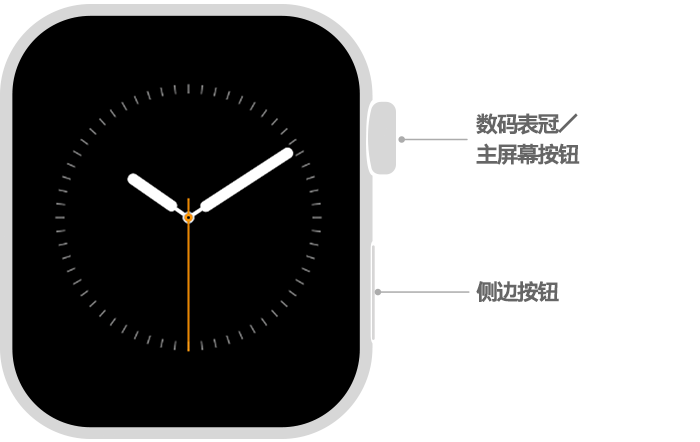 如何使用Apple Watch - Apple 支持(中国)