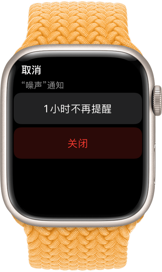 Apple Watch 上显示了通知静音屏幕