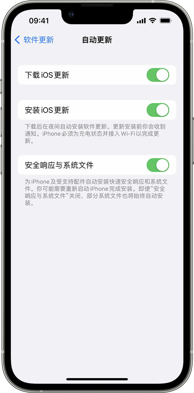 iPhone 上的“设置”App 显示了用于自动更新设备的选项。