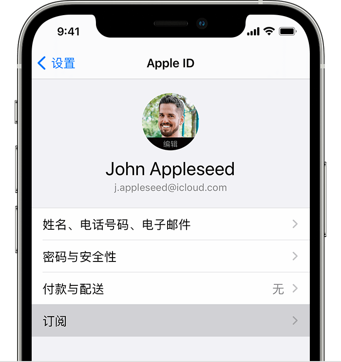 iPhone 上的“设置”中显示了“订阅”菜单选项。