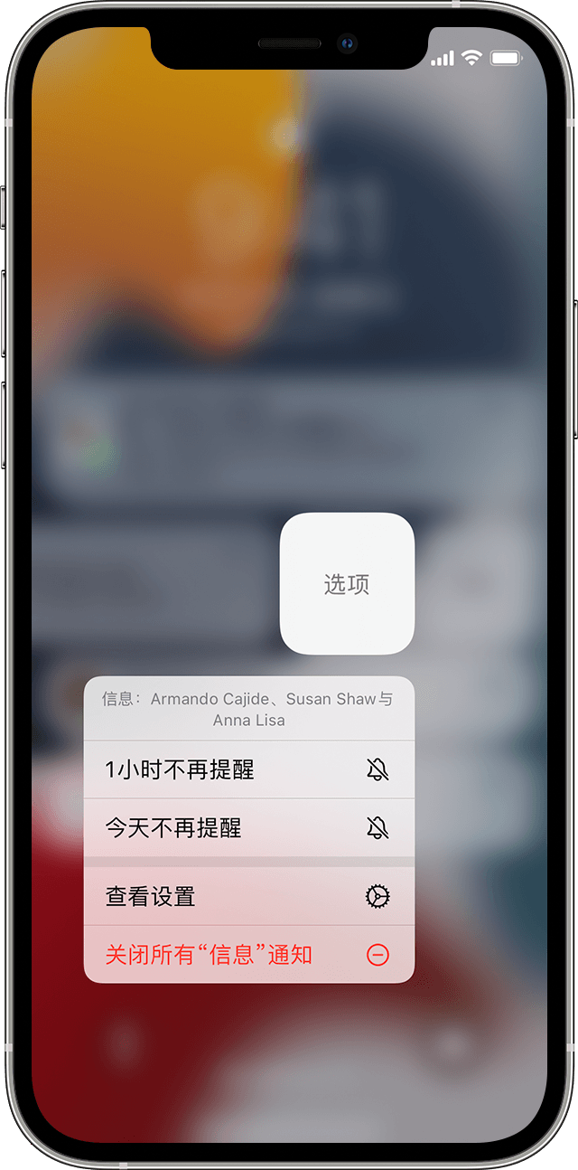 使用iphone Ipad 和ipod Touch 上的 通知 Apple 支持 中国