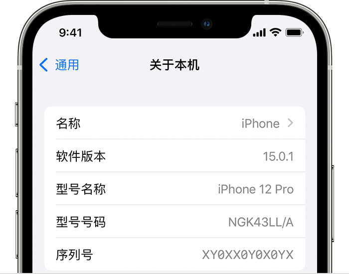 iPhone 显示了“关于本机”屏幕，在其中软件版本位于设备名称下。