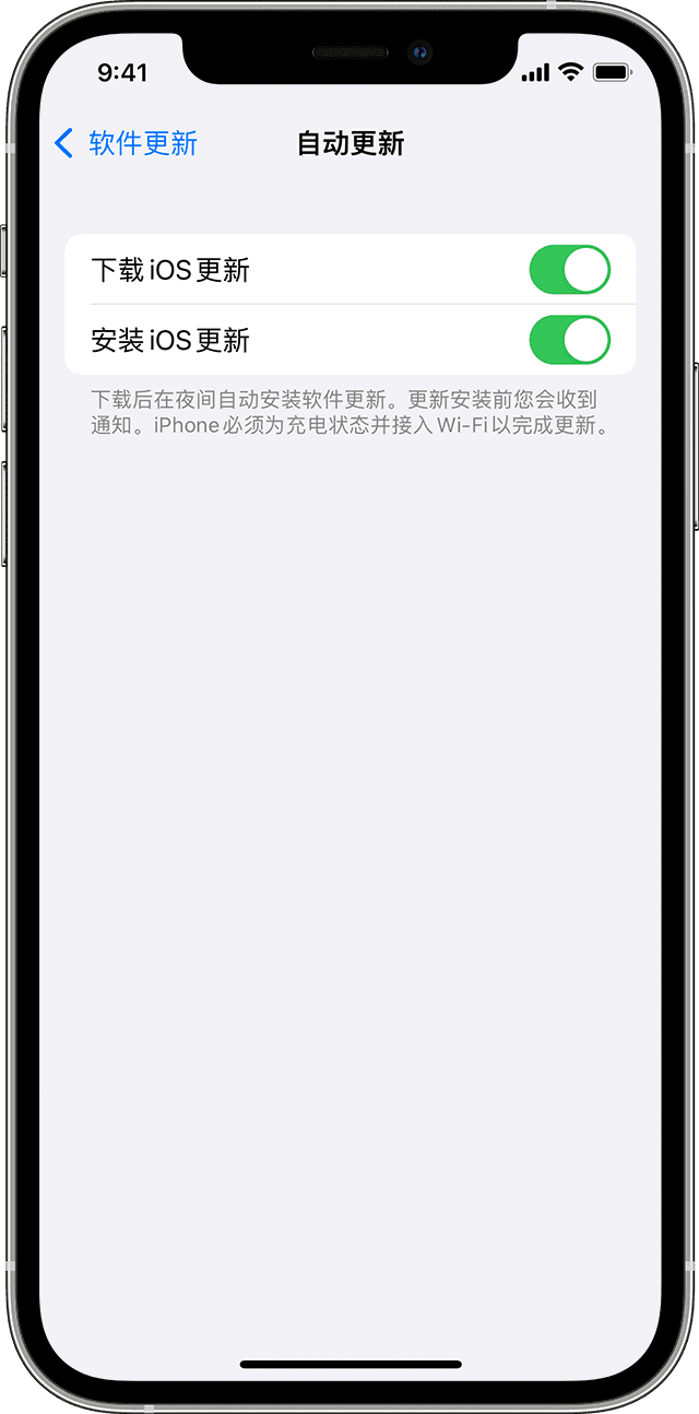 iPhone 上“设置”中的“自动更新”页面显示自动下载和安装 iOS 更新的选项。