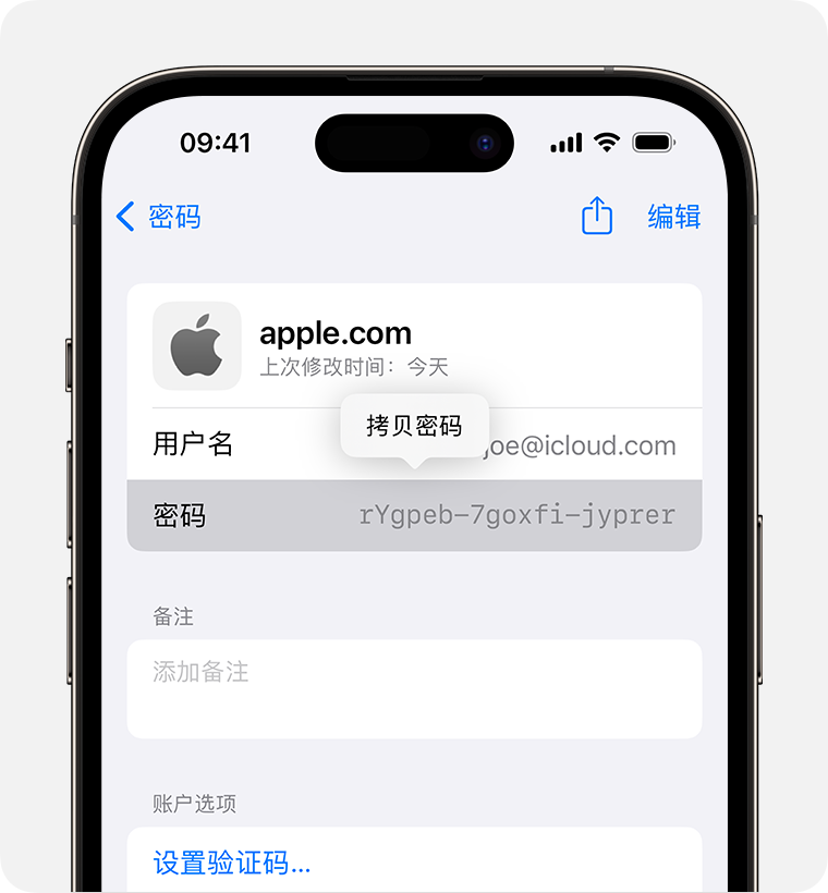 在iPhone 上查找已存储的密码和通行密钥- 官方Apple 支持(中国)