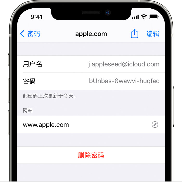 iPhone 12 Pro 显示了包括用户名和密码在内的用户 Apple 帐户详细信息。