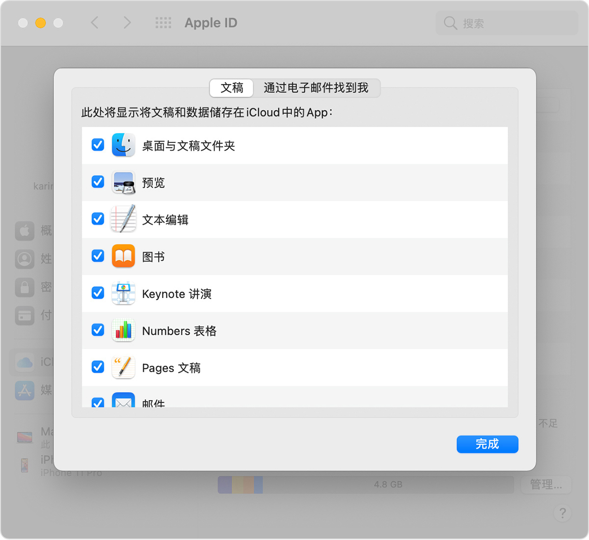 Mac 上的 iCloud 云盘选项屏幕，其中显示了选中的“桌面与文稿文件夹”选项。