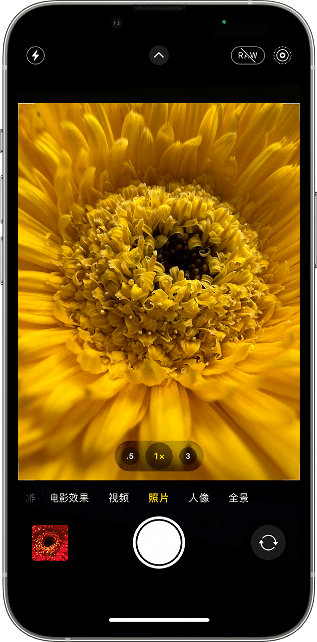 iPhone 上的“相机”App 处于打开状态，准备拍摄照片