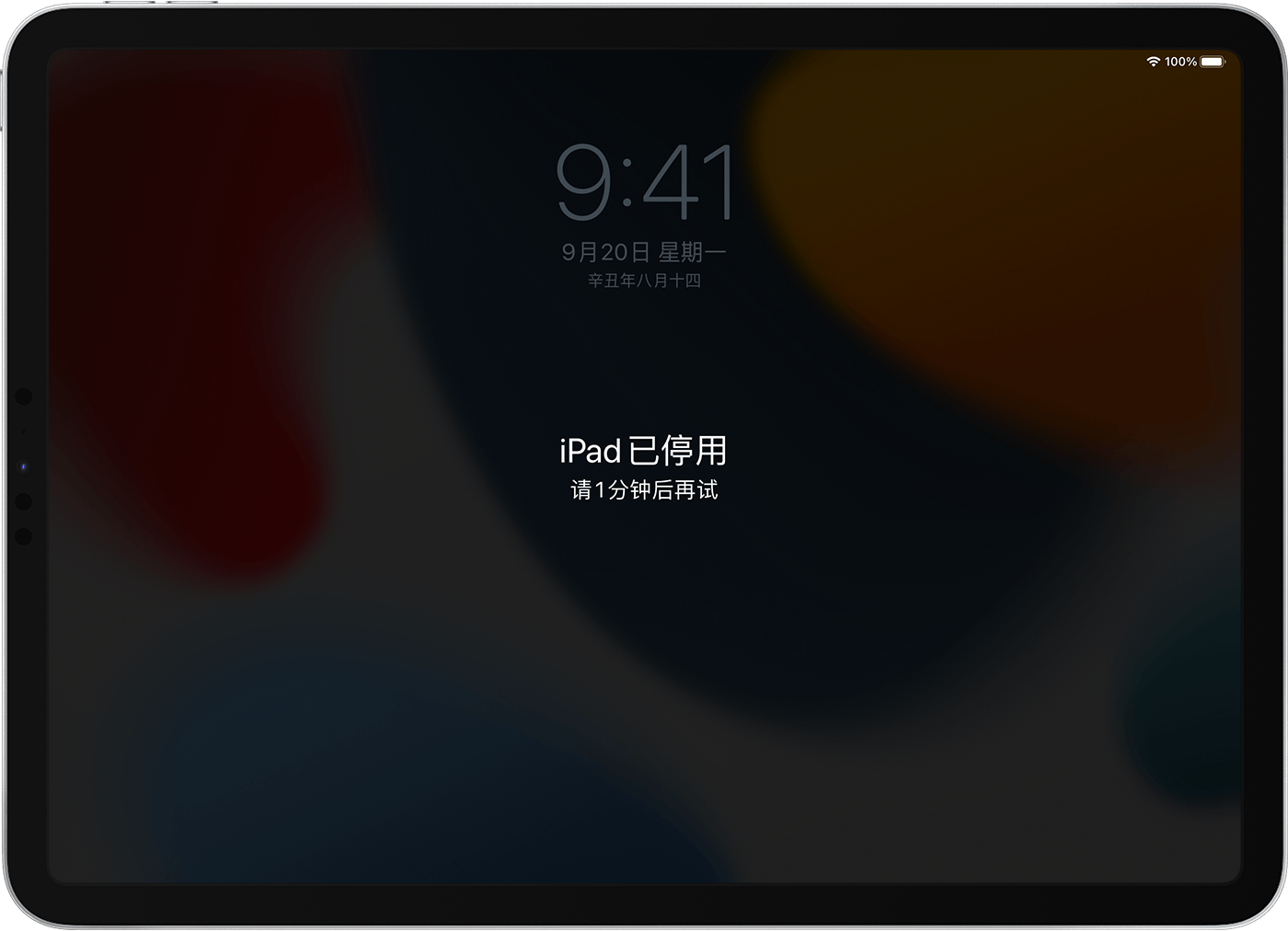 iPad 显示了“iPad 已停用”屏幕。
