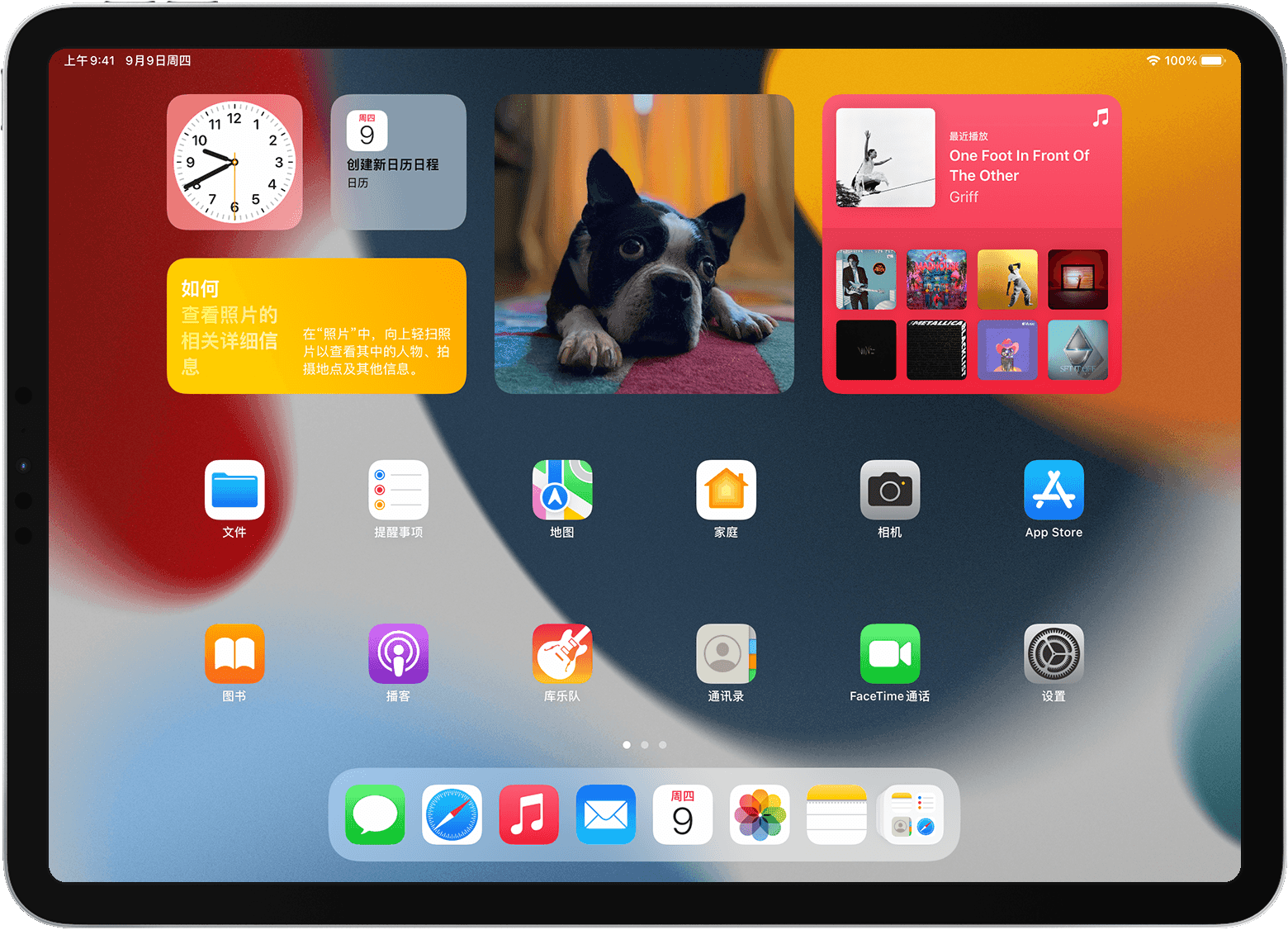iPad 主屏幕显示了小组件和 App
