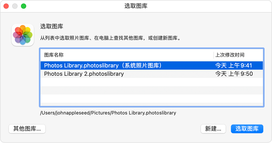 macOS 版“照片”App 的“选取图库”窗口