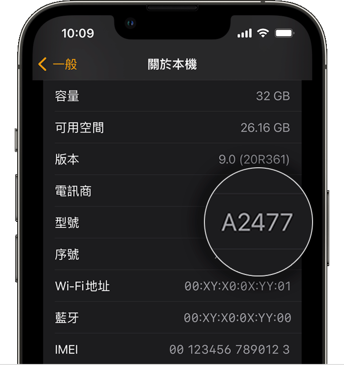 分辨Apple Watch - Apple 支援(香港)
