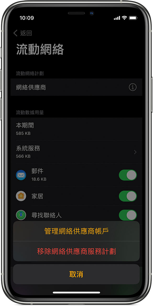 iPhone 在 Watch app 中正顯示「流動網絡」畫面