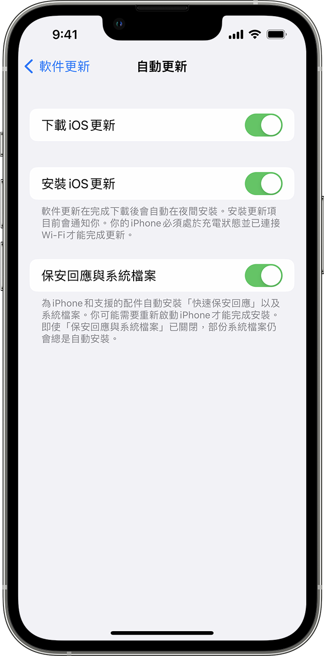 iPhone「設定」app 正在顯示自動更新裝置的選項。