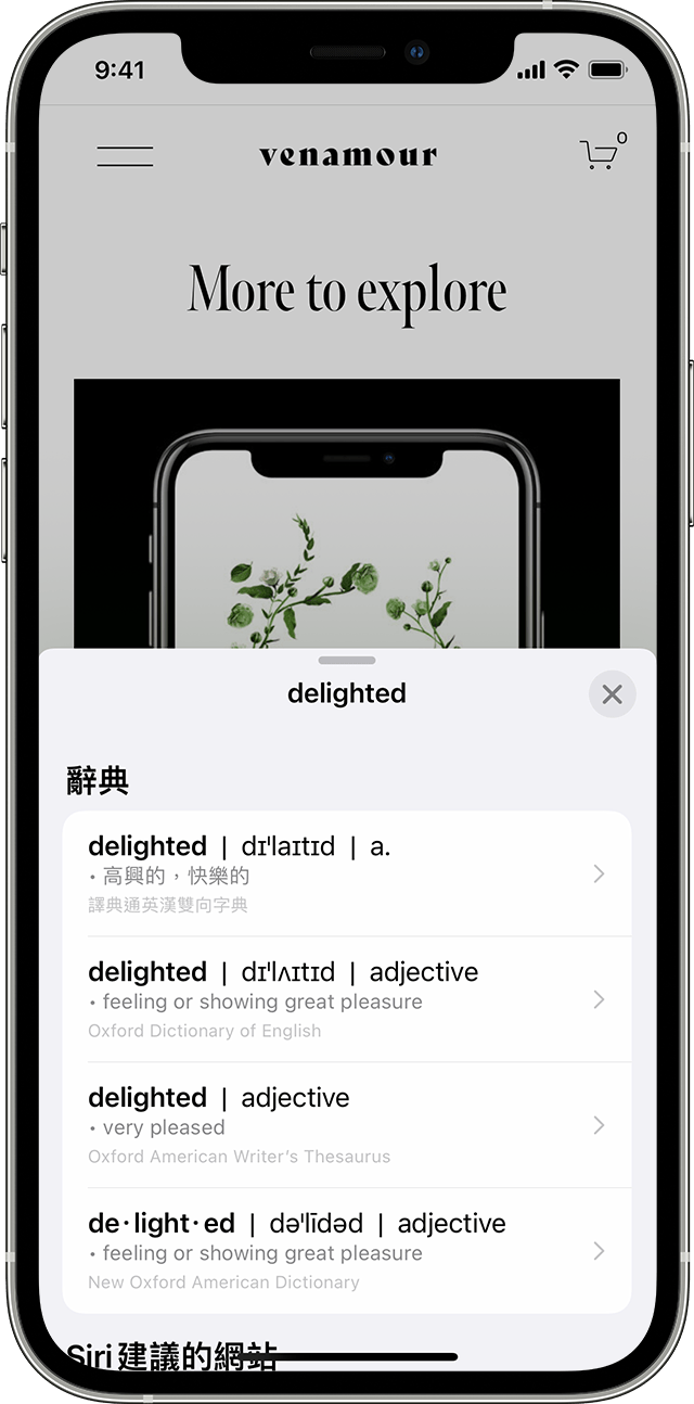 iPhone 用戶使用「原況文字」辨識相片中的字後，在字典查詢「delighted」一字
