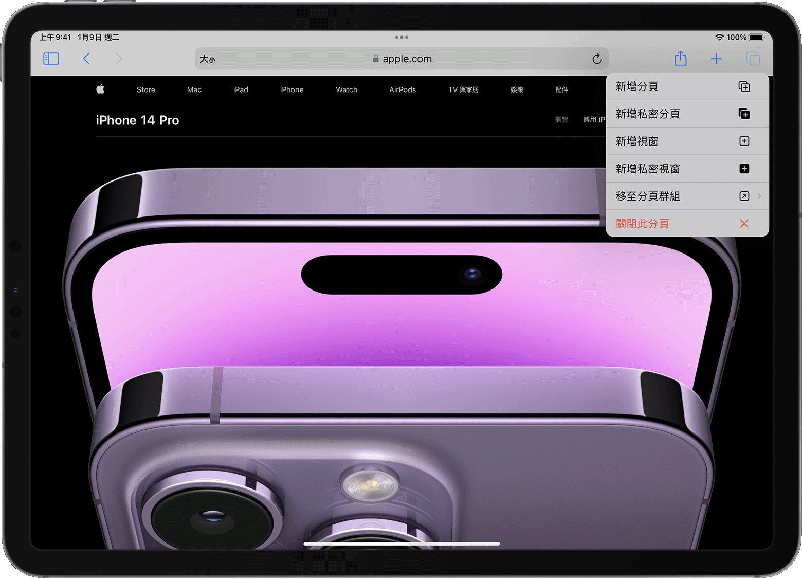 iPad 上開啟了 Safari 分頁選項選單