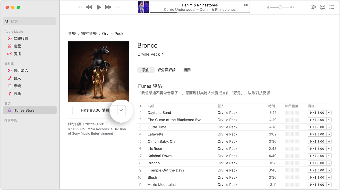 Mac 上「音樂」app 中的 iTunes Store。