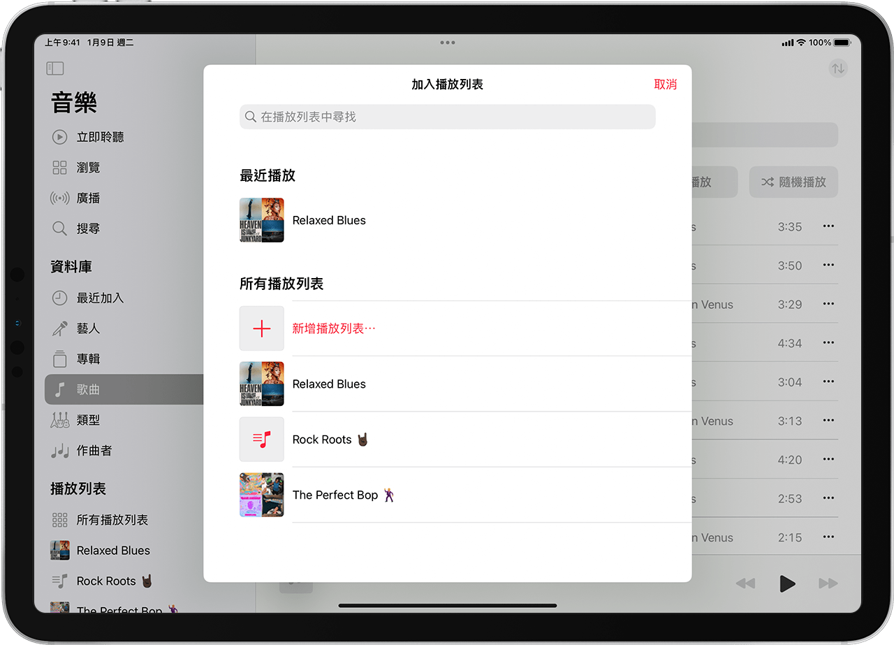 iPad 螢幕顯示「歌曲」播放列表。