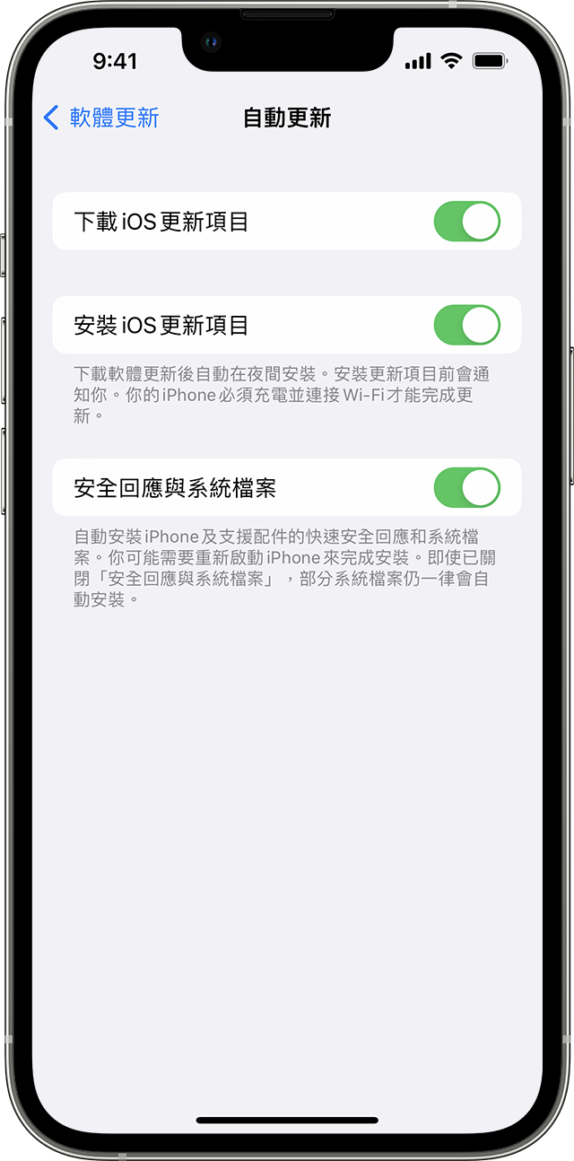 iPhone 上的「設定」App 顯示自動更新裝置的選項。